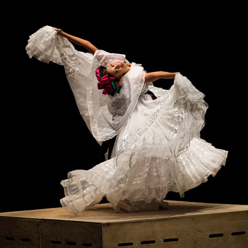 Mexico City: Mexican Folklore Ballet — gallery 1