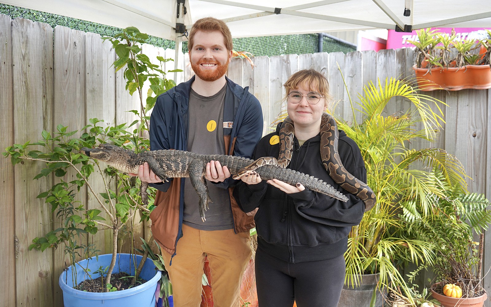 Miami: Everglades Holiday Park Animal Encounter Experience Tickets — gallery 4