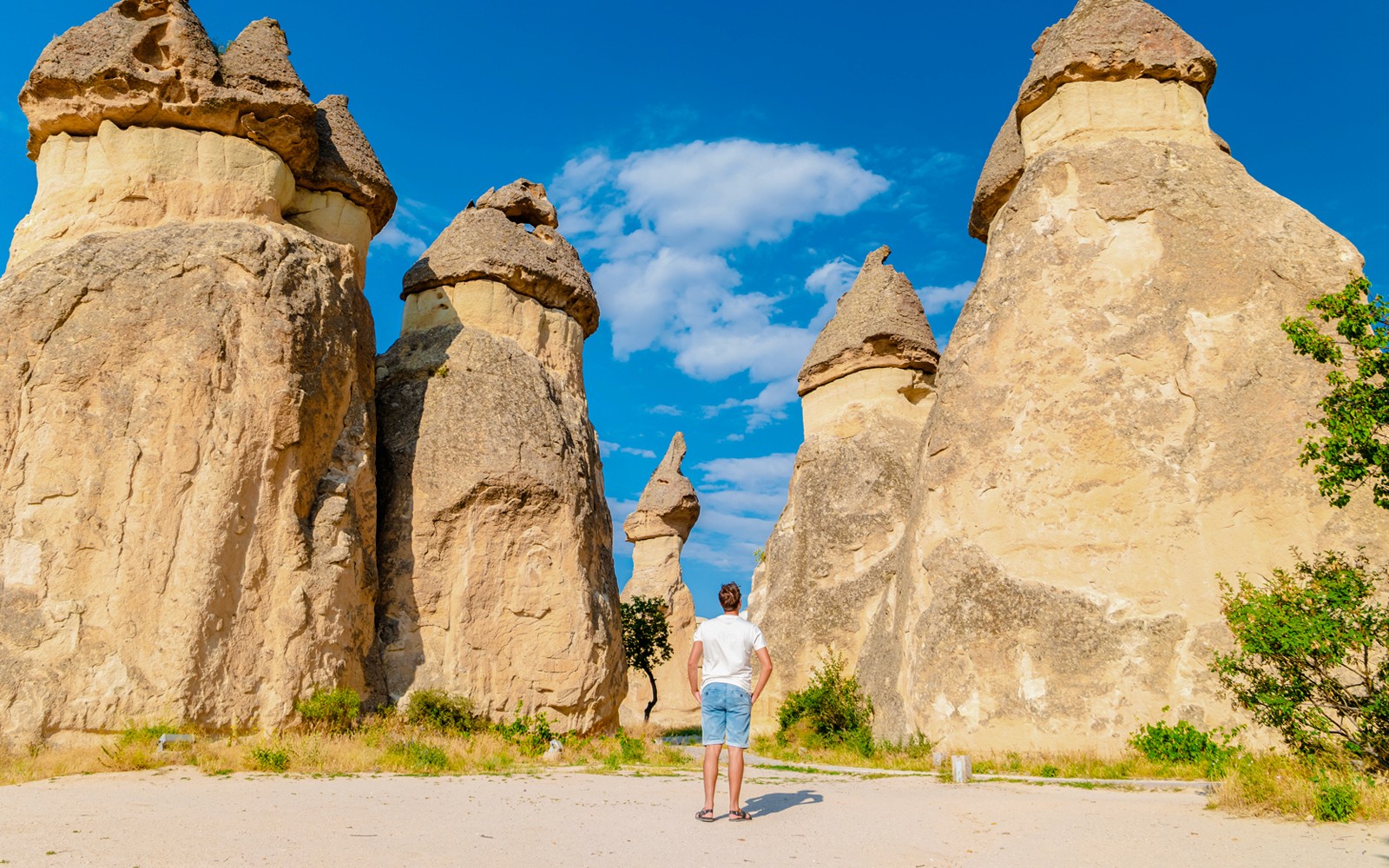 Full-Day Red Tour with Fairy Chimneys & Zelve Open-Air Museum — gallery 2