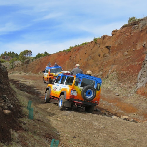 Enchanted Terraces: Guided Madeira Excursion — gallery 3