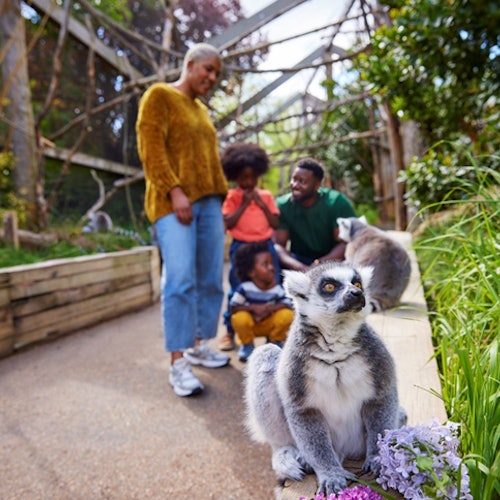 London: Family Pass — gallery 3