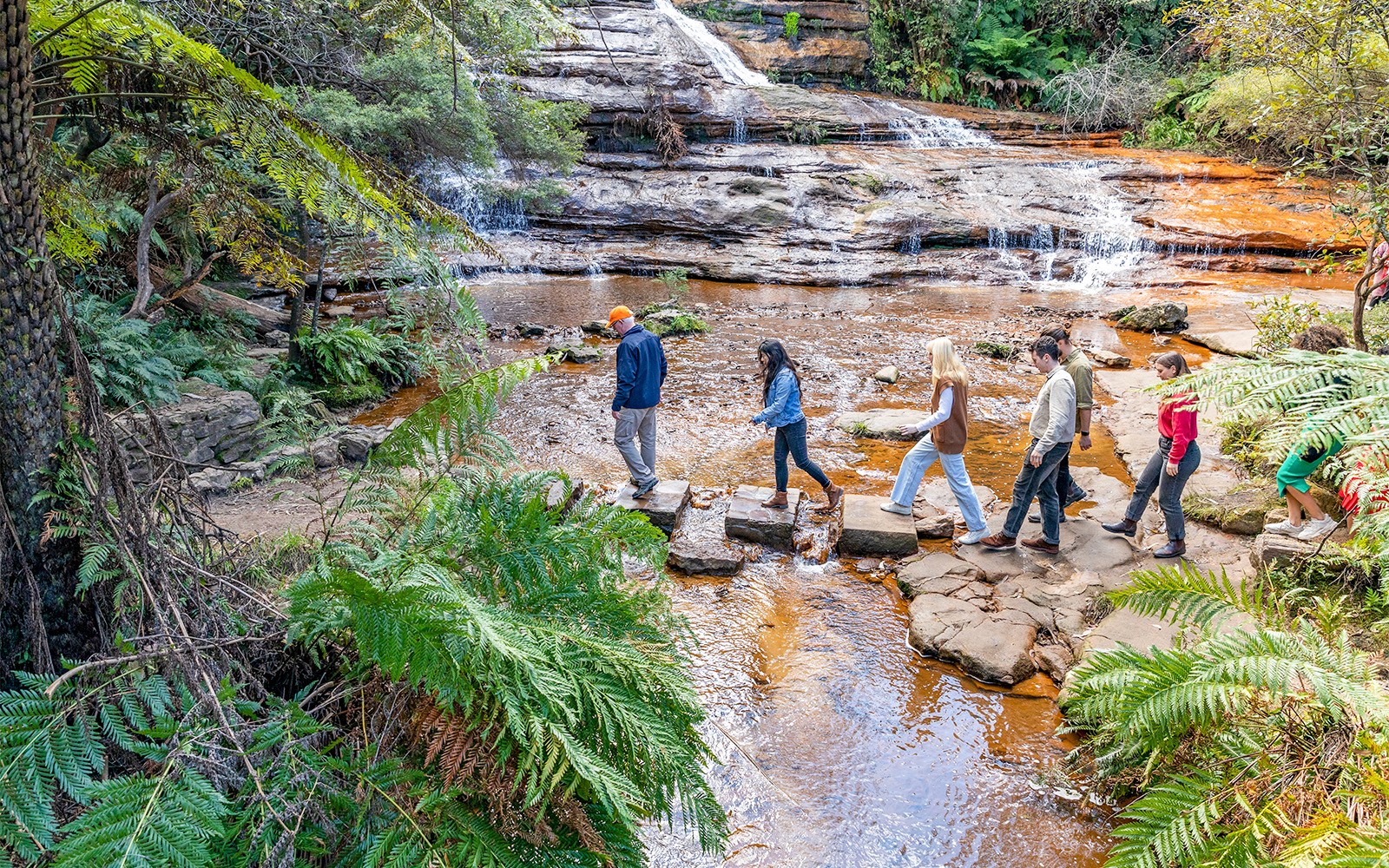 Blue Mountains Tour: Lunch, Scenic World, Sydney Zoo or Featherdale Wildlife Park, Koala Photo & Harbour Ferry Return