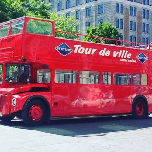 Montreal: Hop-on Hop-off Bus Night Tour — gallery 2