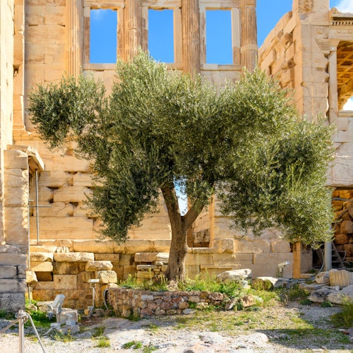 Acropolis of Athens & Acropolis Museum: Private Guided Tour — gallery 1