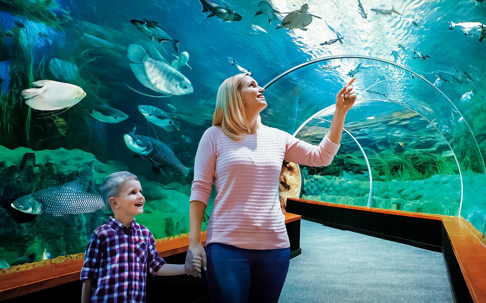 Poema del Mar Aquarium Tickets