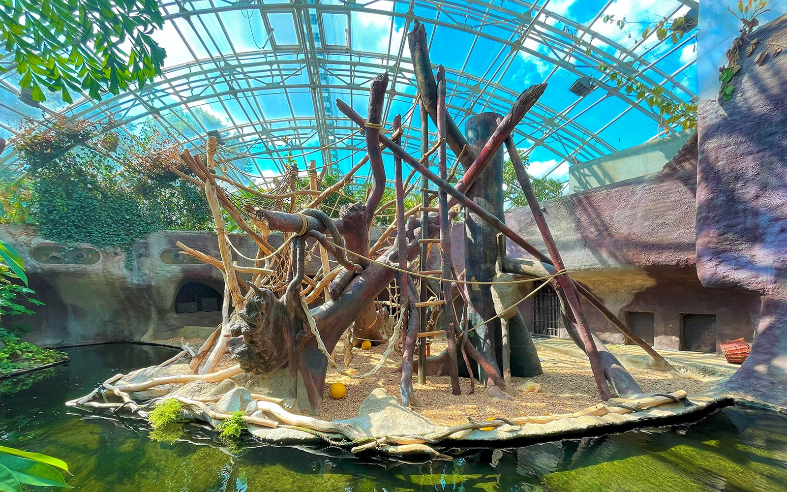 Prague Zoo Tickets