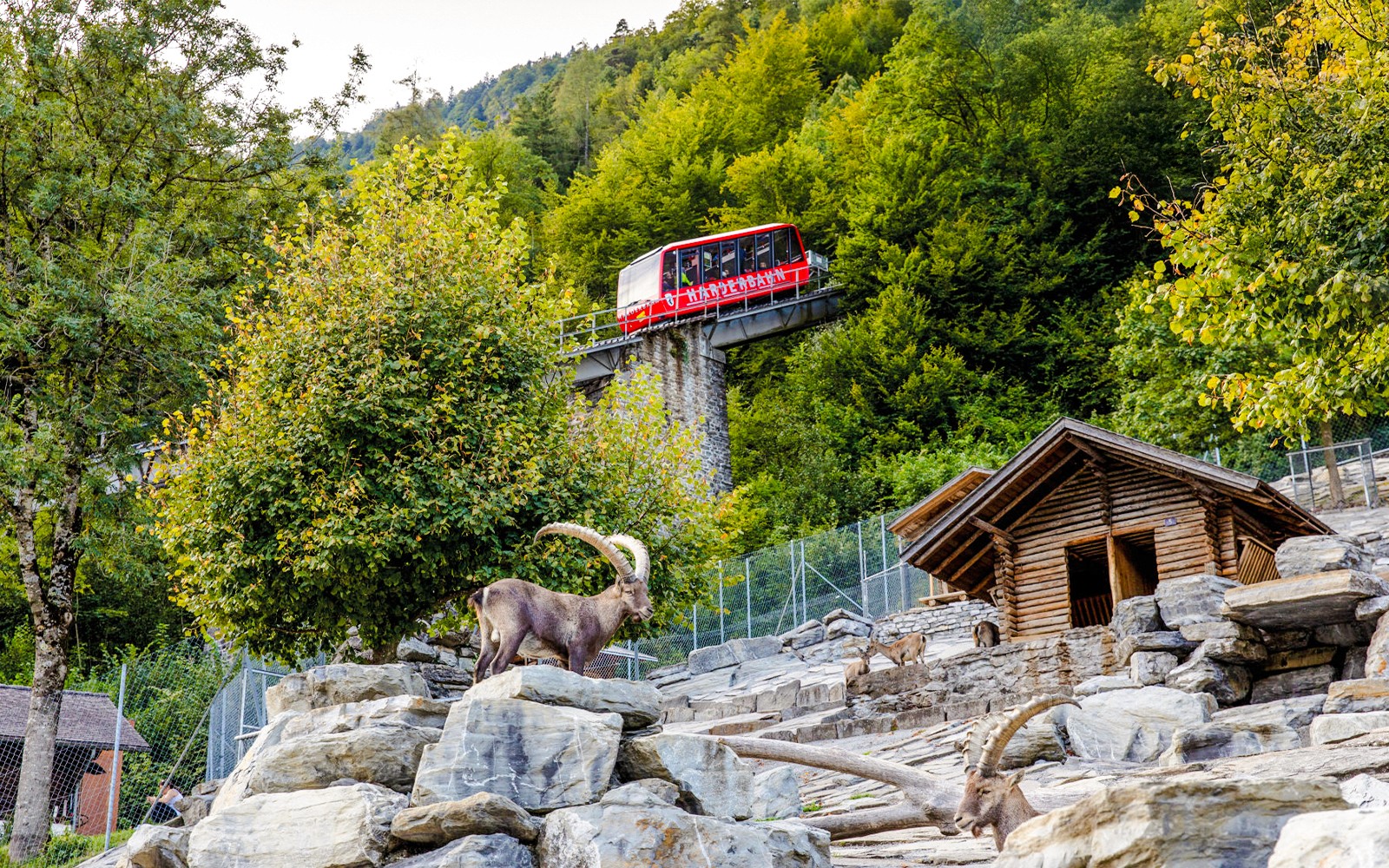 Harder Kulm Round-Trip Funicular Tickets