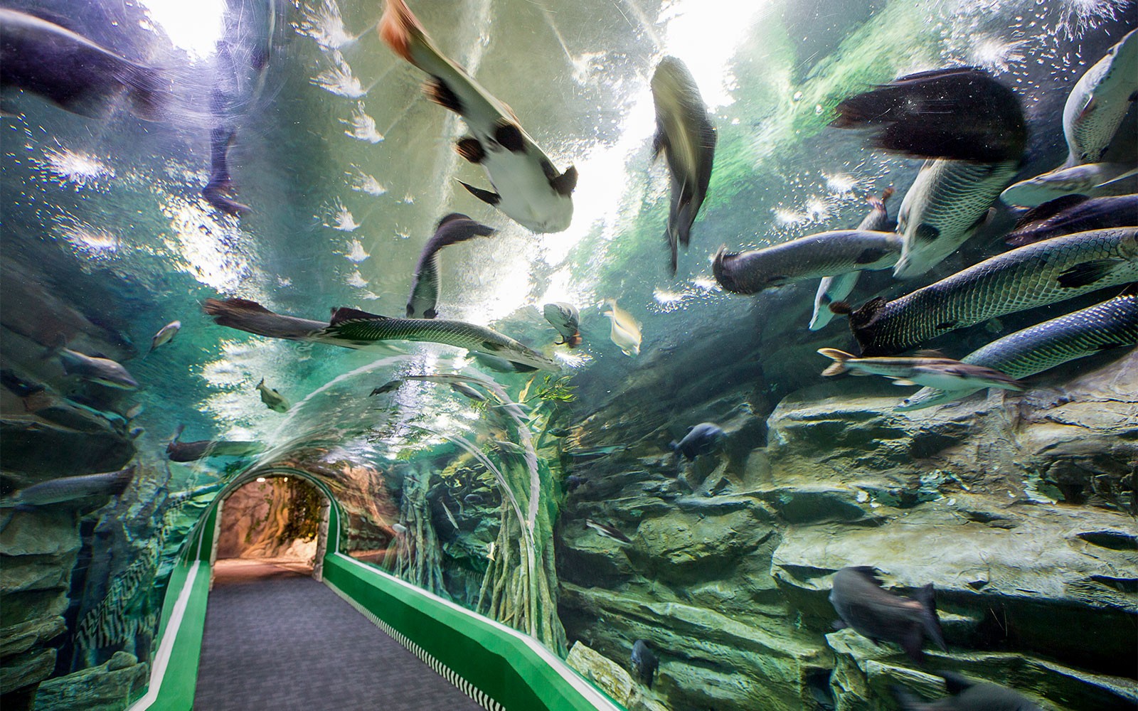 Combo (Save 38%): Lotte World and Aquarium + Seoul Sky Observatory Tickets