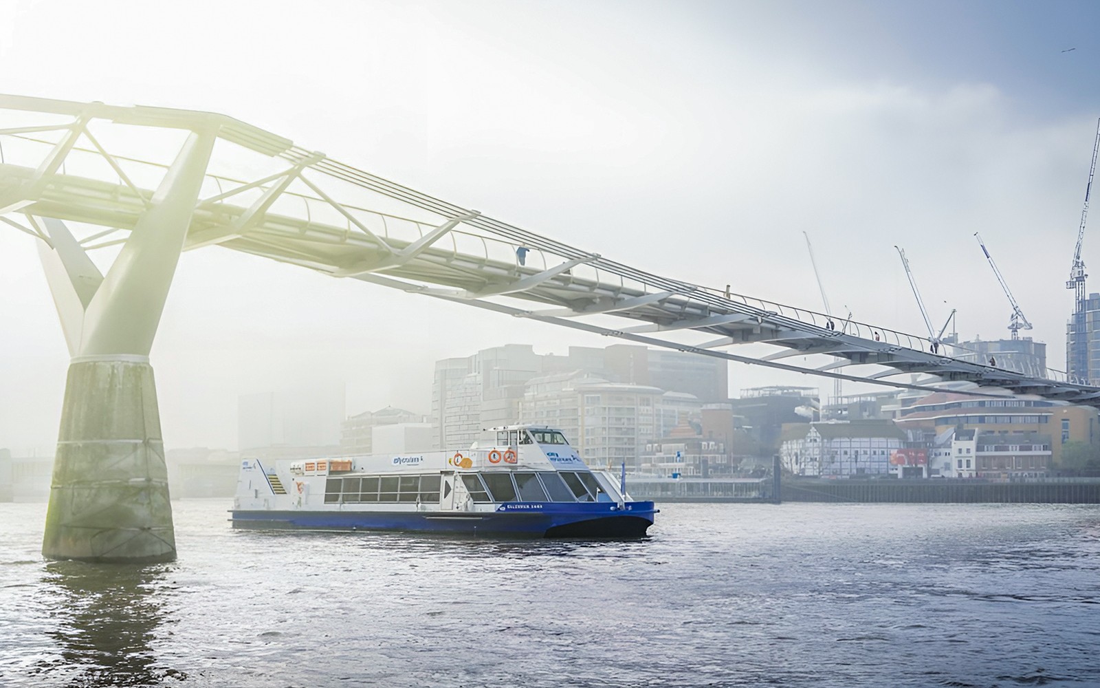Thames Sightseeing Cruise with Flexible Time and Departure Pier — gallery 1