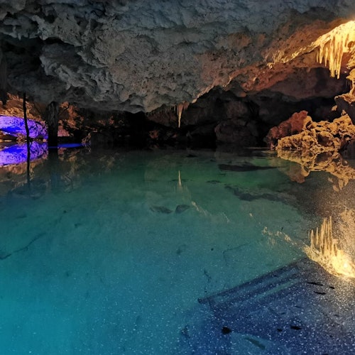 Cobá Ruins & Cenote Mariposa: Guided Tour, Transfer + Lunch