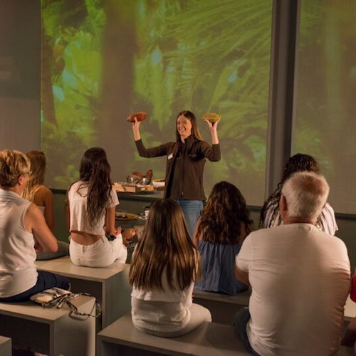 Simón Coll Chocolate Experience: Guided Visit — gallery 3
