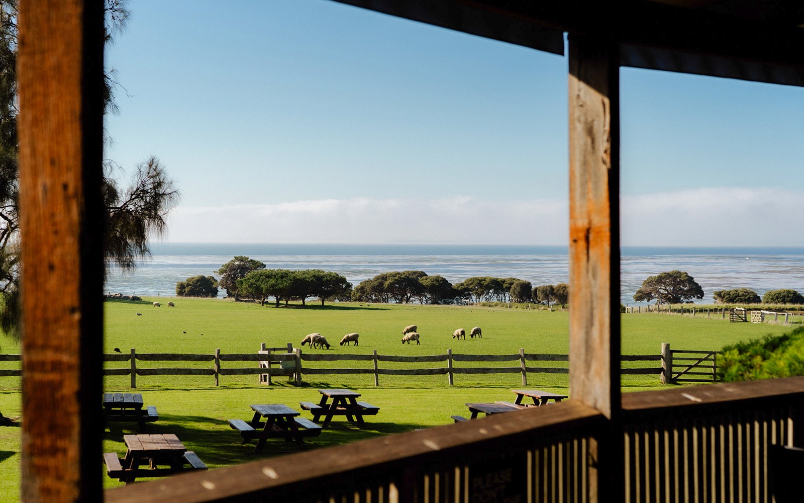 Phillip Island 3 Parks Pass: Penguin Parade, Koala Conservation Reserve & Churchill Island