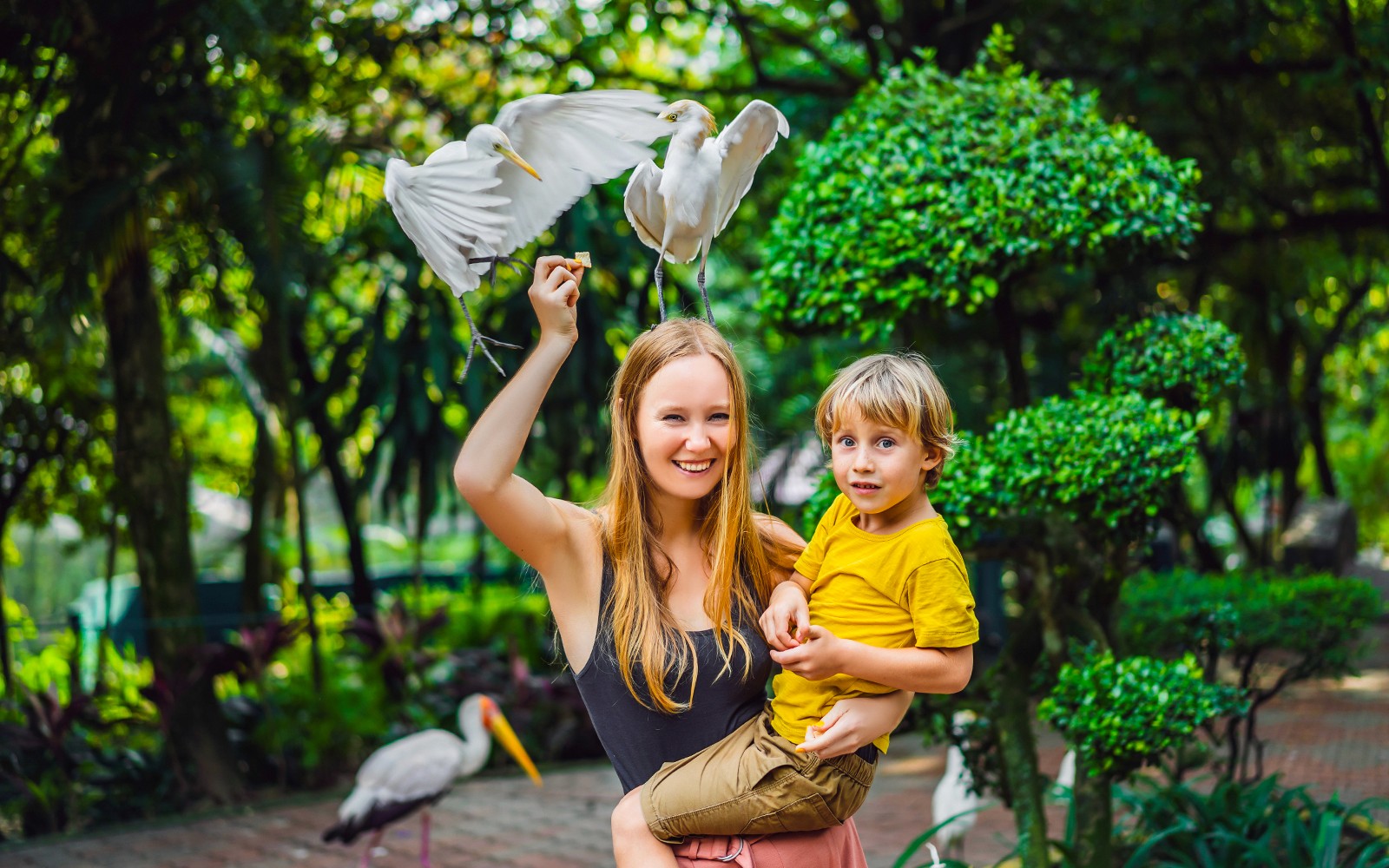 Bali Bird Park Group Saver Tickets: Group of 3 & More — gallery 1