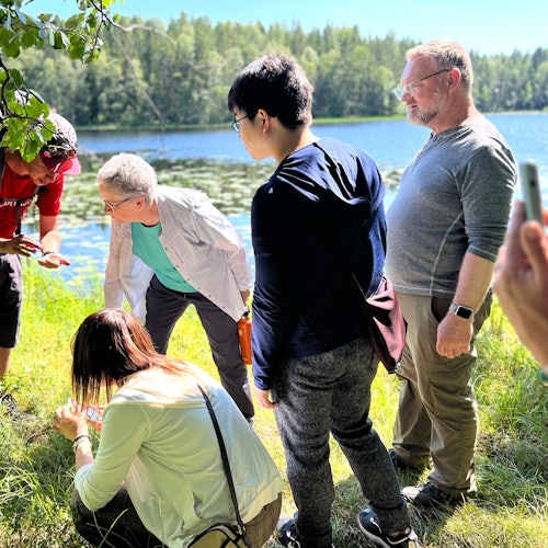 Helsinki: Magical Taiga Forest Hike — gallery 2