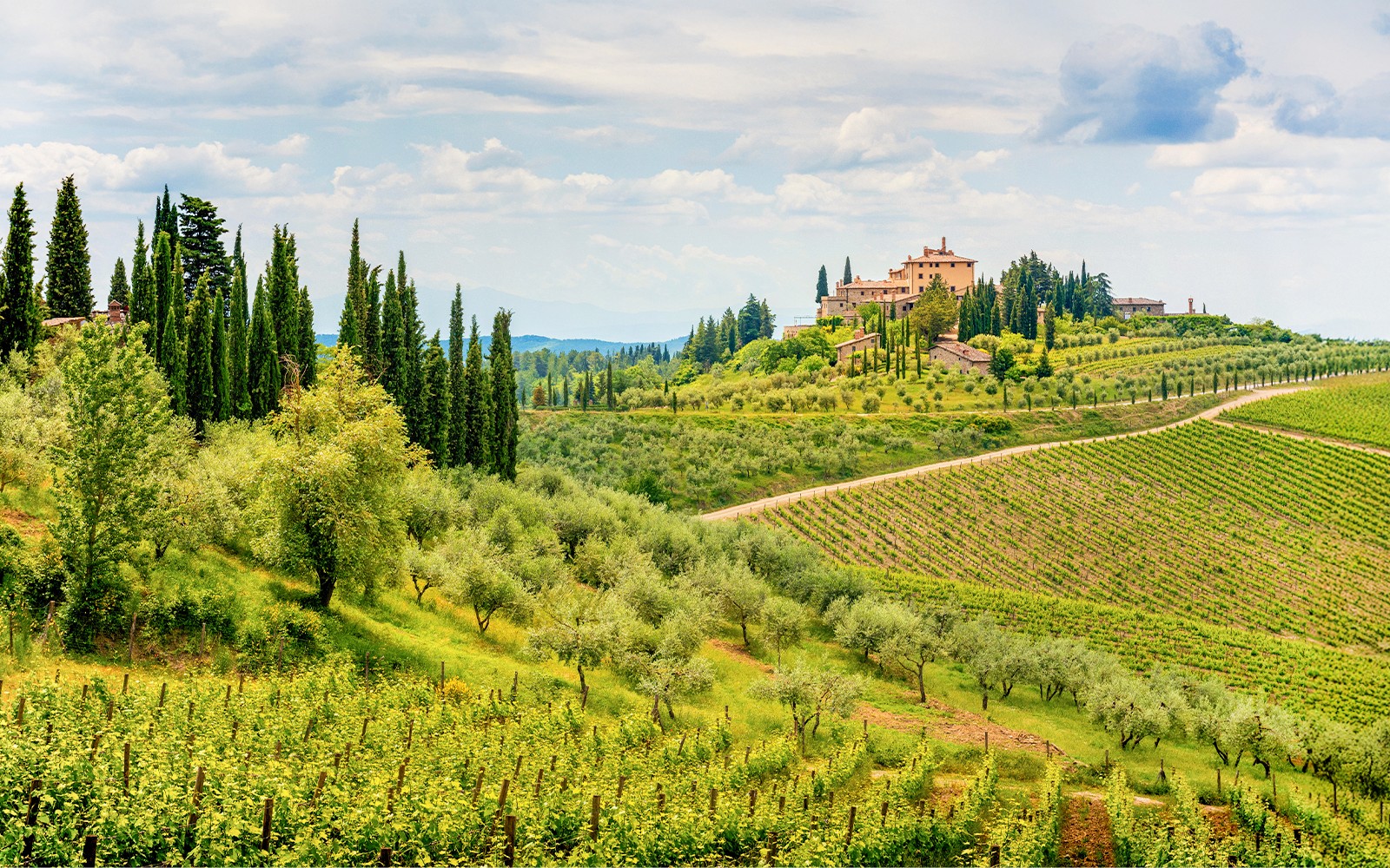 From Florence: Chianti Wine Tasting Tour — gallery 2
