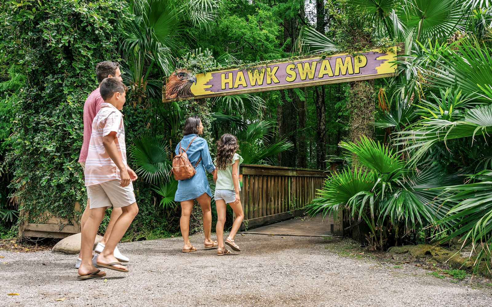 Orlando: Wild Florida 1‑Hour Airboat Tour with Gator Park Tickets