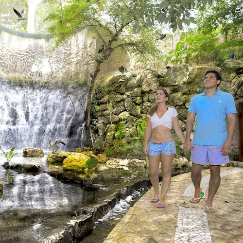 Xcaret Park: Entry Ticket + Transport — gallery 2