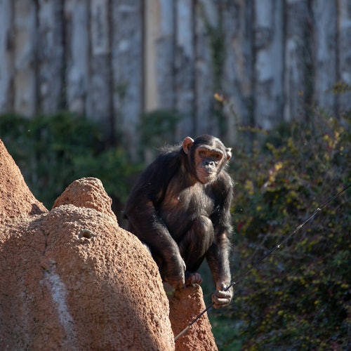 Parco Natura Viva: Open Date Ticket — gallery 2