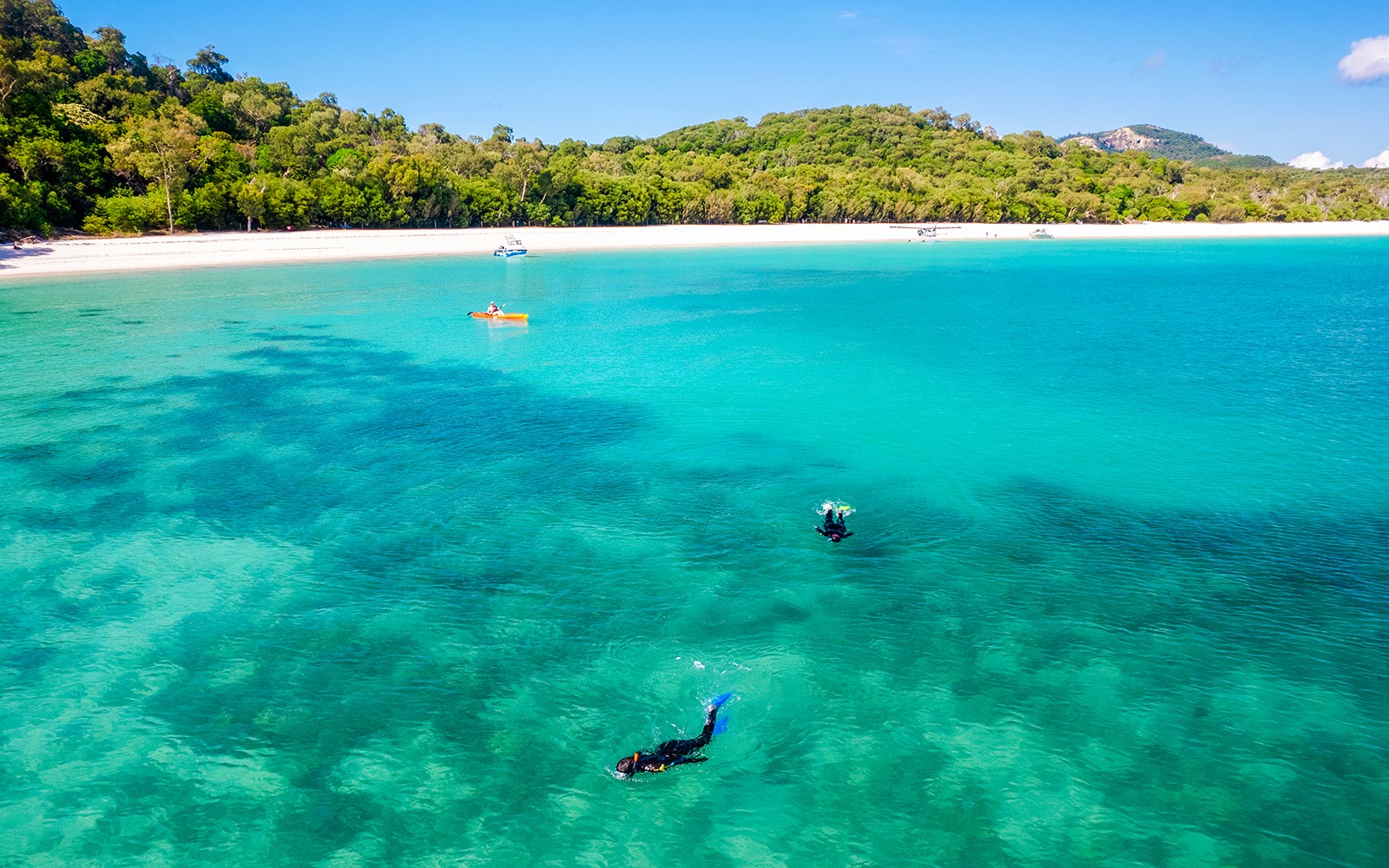 Airlie Beach: Outer Great Barrier Reef & Whitehaven Beach Snorkel Tour