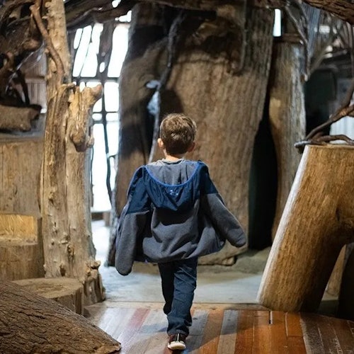 Denver Museum of Nature & Science: Entry Ticket — gallery 4