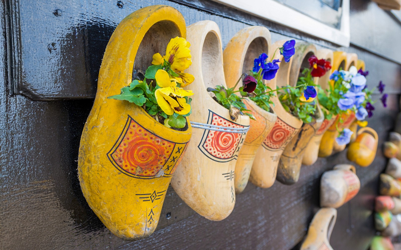 From Amsterdam: Zaanse Schans, Volendam, Edam and Marken Guided Tour — gallery 4