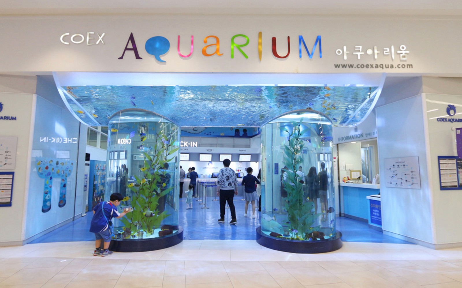 SEA LIFE COEX, Seoul Aquarium Tickets