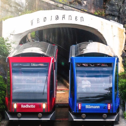 Bergen: Full-Day Fjord Cruise, Historic City Tour, & Fløien Funicular — gallery 3