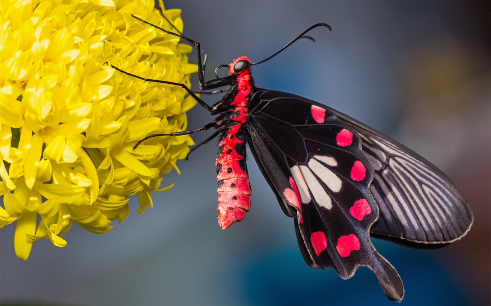 Sentosa Fun Discovery Pass: Access Up To 80 Attractions