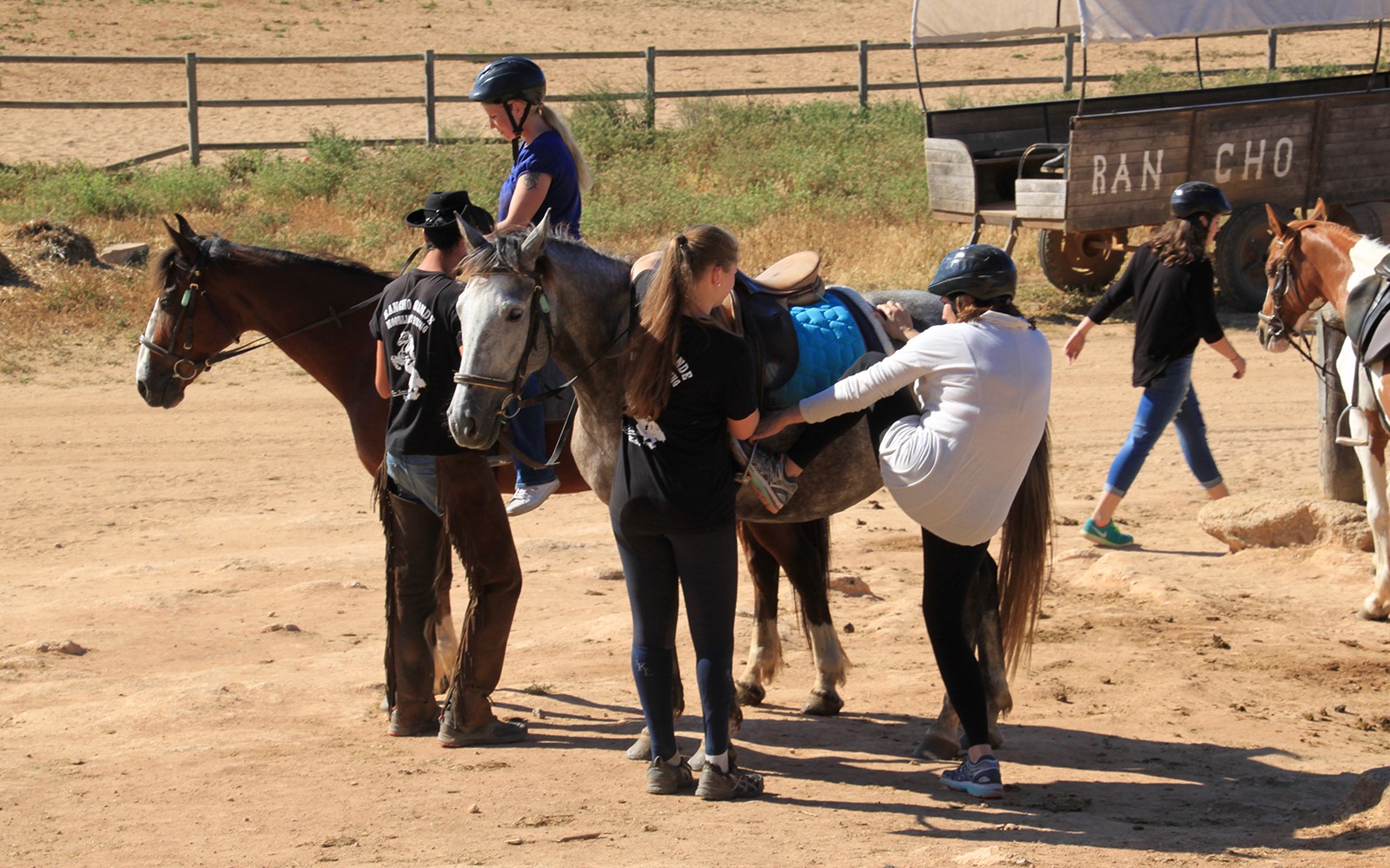 Horse Riding on the Beach in Mallorca — gallery 4