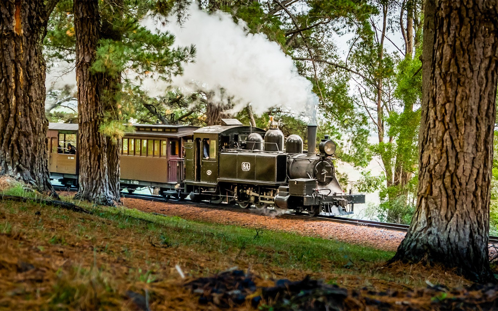 From Melbourne: Puffing Billy Train Ride & Phillip Island Guided Tour — gallery 1
