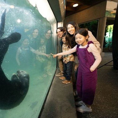 Vancouver Aquarium: Entry Ticket — gallery 2