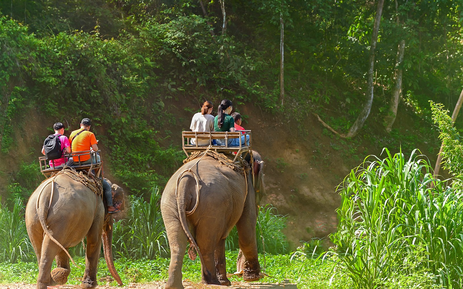 From Phuket: Bamboo Rafting, ATV Ride with Elephant Trekking & Bathing Experience — gallery 3