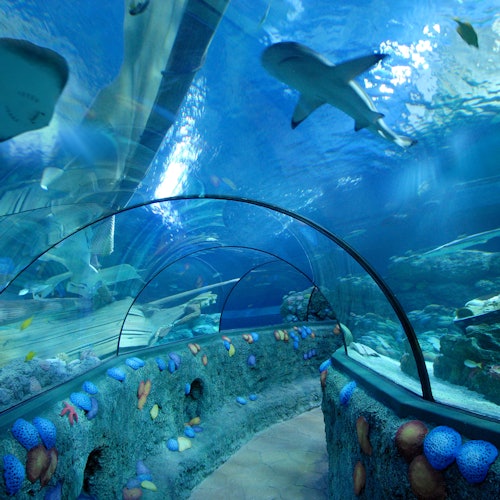 Gardaland Park + Gardaland SEA LIFE Aquarium
