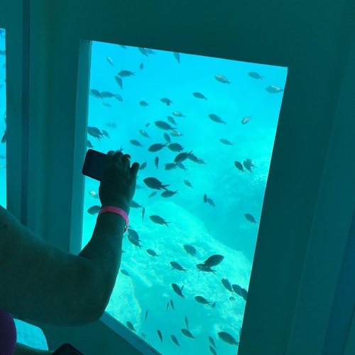 Poseidon Submarine Cruise — gallery 2