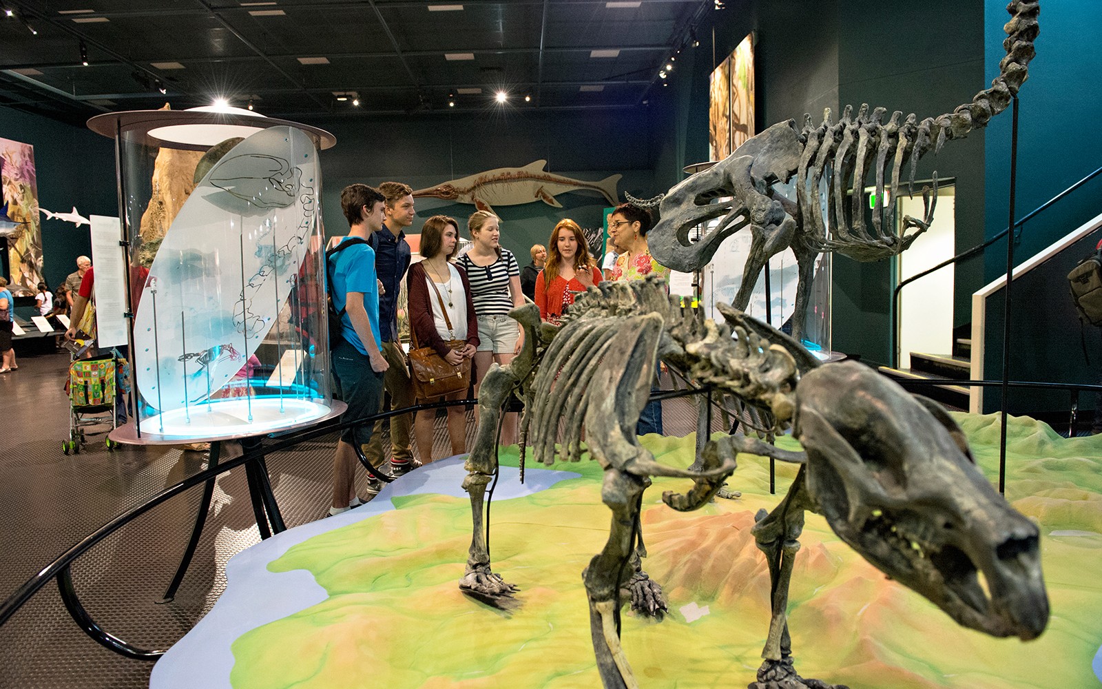 Guided Half-Day City Tour of Darwin — gallery 2