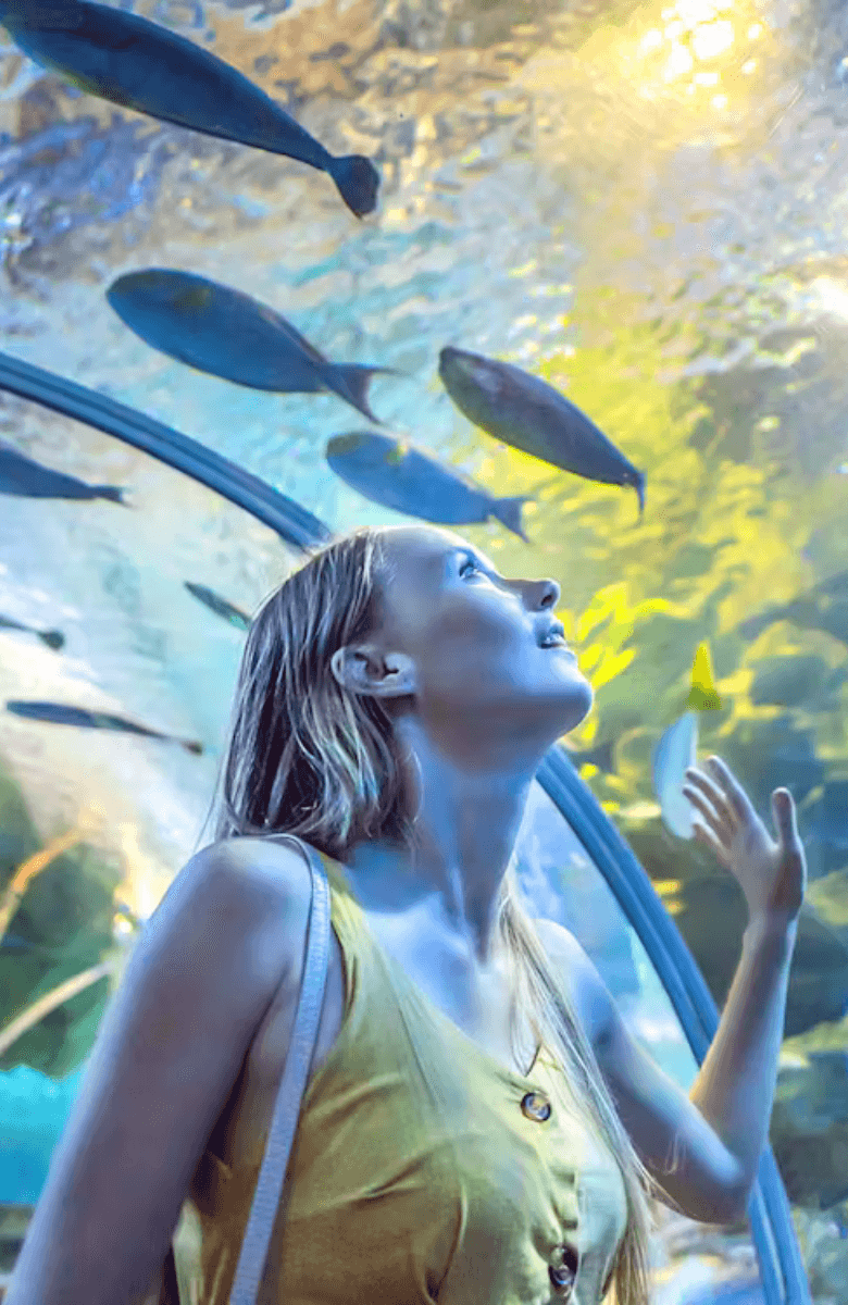 Dubai Aquarium & Underwater Zoo — gallery 1