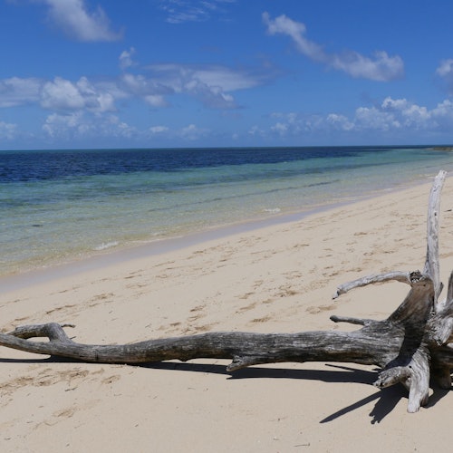Walk, Sail and Snorkel: Great Barrier Reef & Green Island Tour — gallery 3