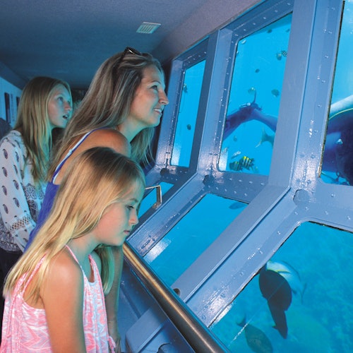 Outer Great Barrier Reef: Boat Tour from Port Douglas + Activities + Lunch — gallery 1
