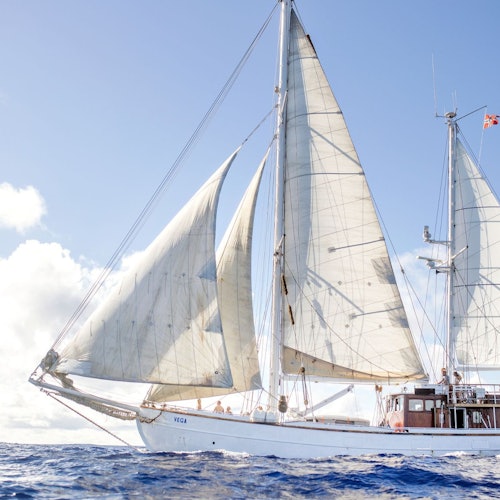 Oslo: Oslofjord Dinner Cruise — gallery 4