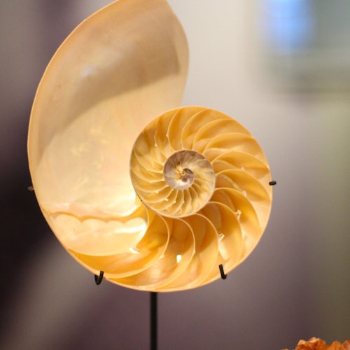 Museum Het Schip: Entry Ticket — gallery 1