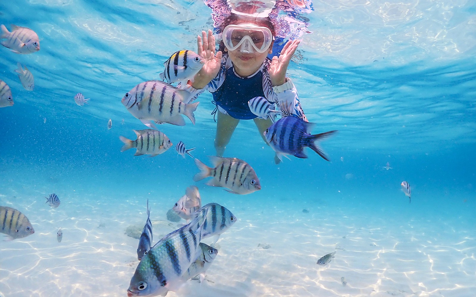Private Bali Snorkeling Blue Lagoon & Tanjung Jepun — gallery 4