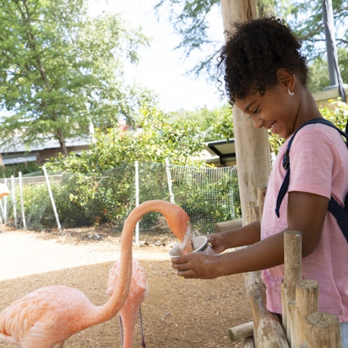 San Antonio Zoo Flexible Any-Day Entry Ticket