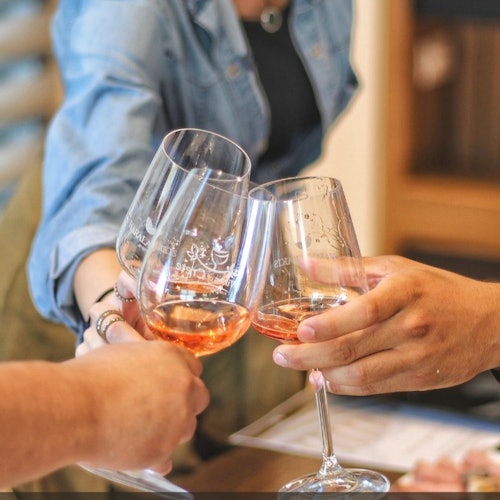 Ecobike: Wine Tasting — gallery 2