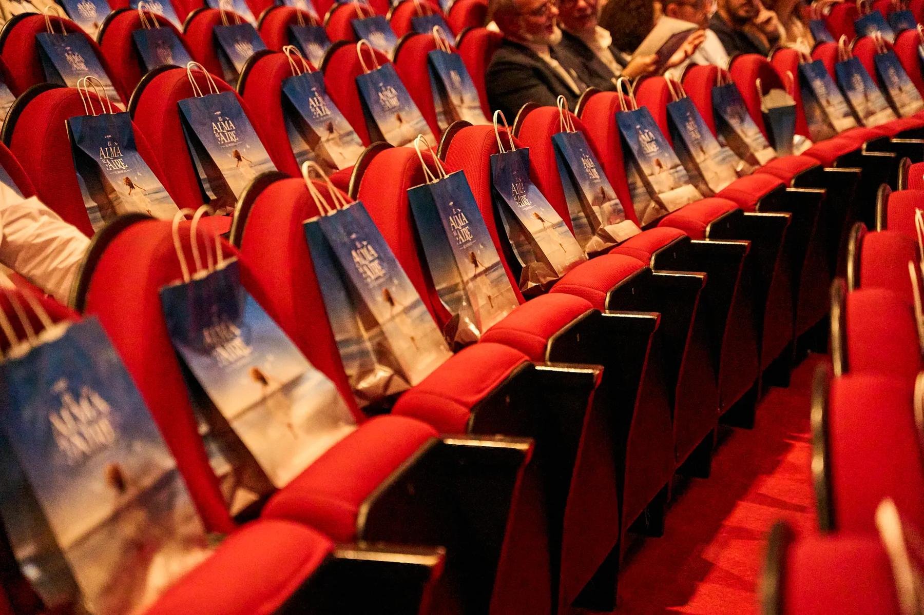 Stalls seats at Teatro Coliseum before El Alma al Aire