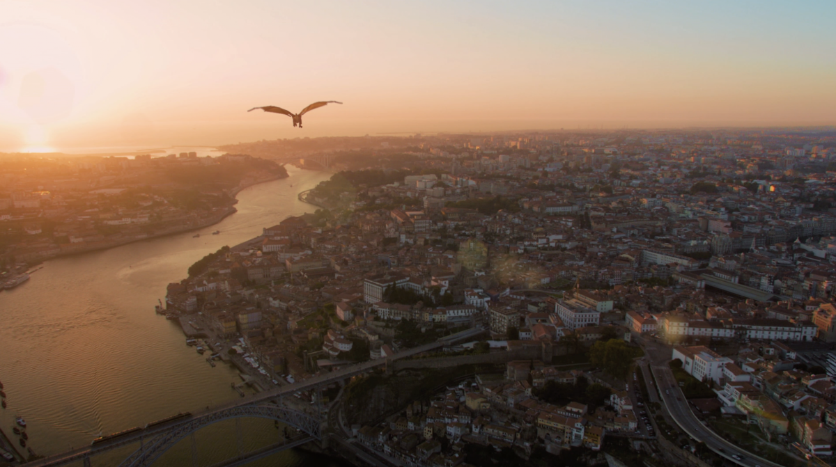 Look at Porto