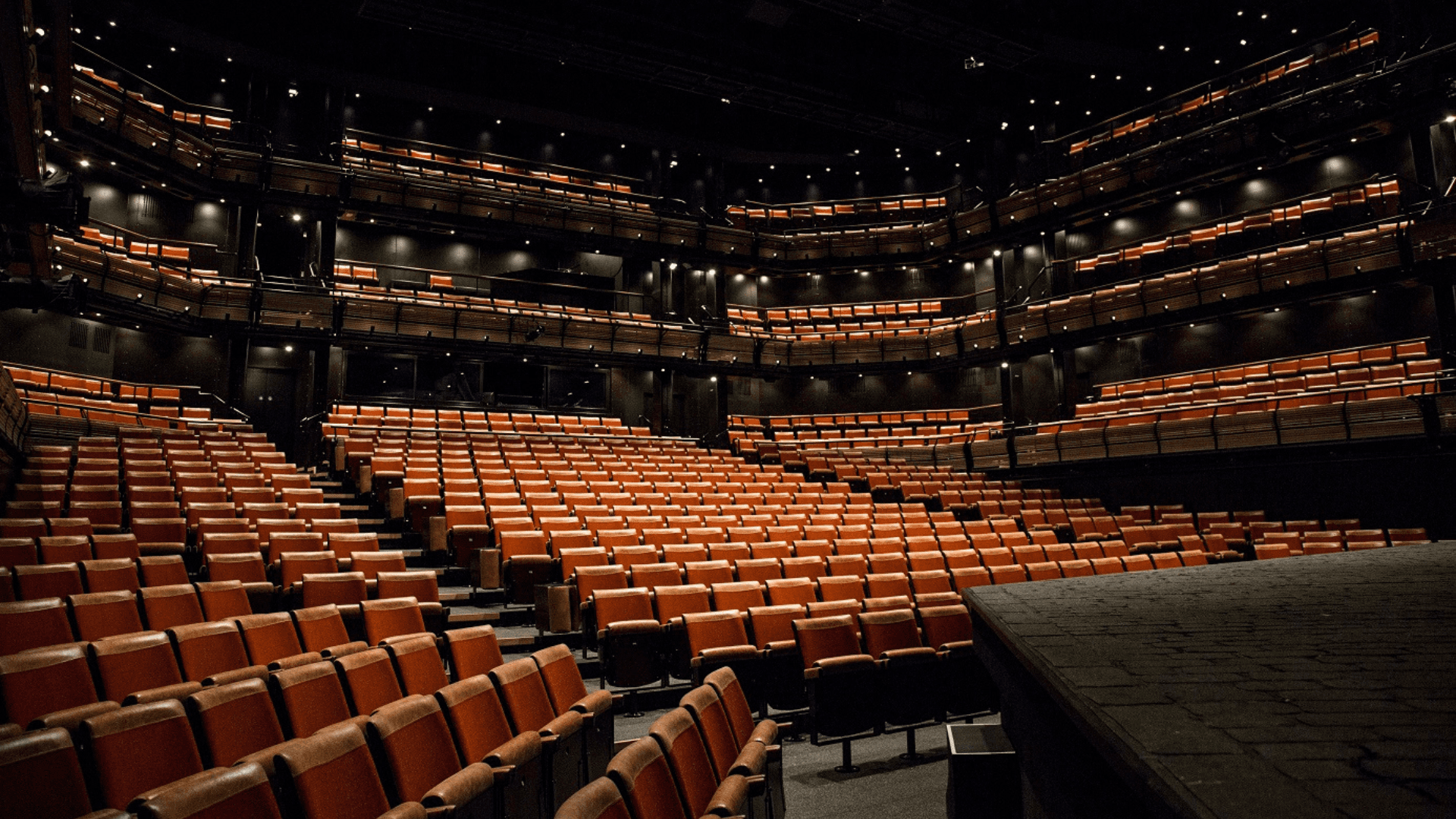 Inside Bridge Theatre — view 3